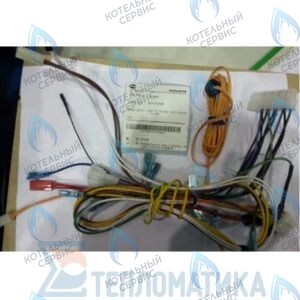 30003022A Жгут кабельный в сборе с коннекторами Atmo NAVIEN 