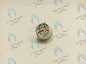 Манометр 1/8 BOSCH, BUDERUS (19928681) белый