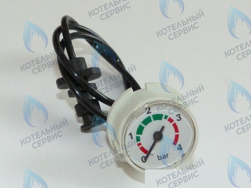 87186457920 Манометр с трубкой BUDERUS 