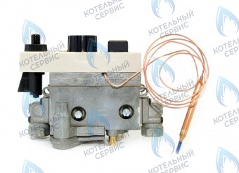 003382 Автоматика безопасности 710 ЛЕМАКС (Lemax) 