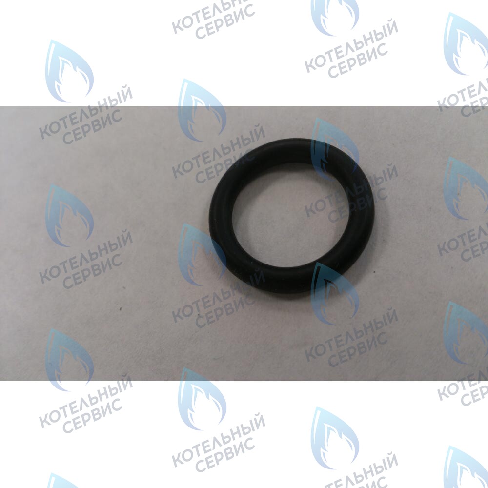 6399440050 Уплотнение кольцевое 3X14X20 BAXI 