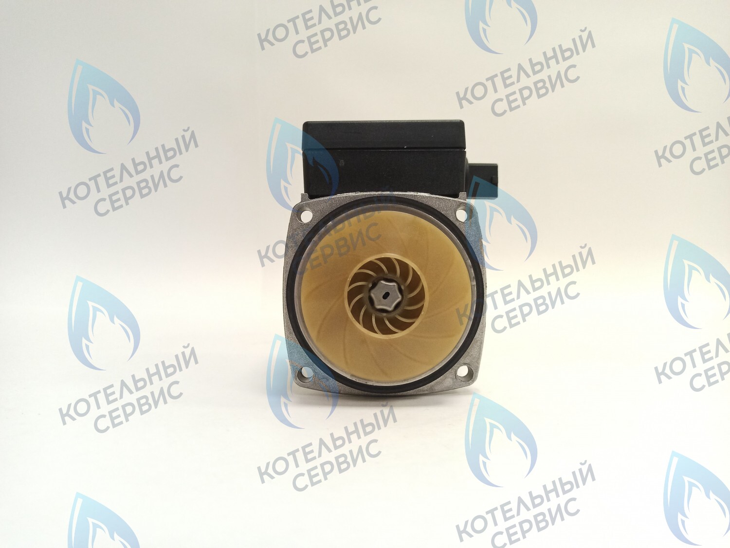 PH-G30CCW50-GR75-FL Двигатель насоса GRUNDFOS 15-50 75w с коннектором 