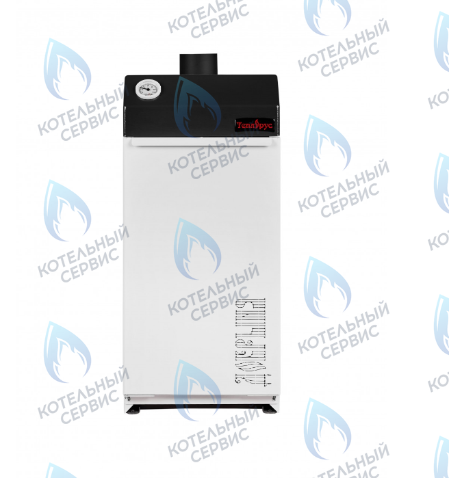  Напольный газовый двухконтурный котел ТеплоРус Добрыня ТРД 