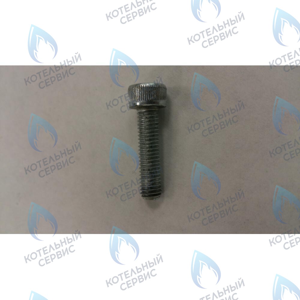 599130079 Винт M5X20 BAXI 