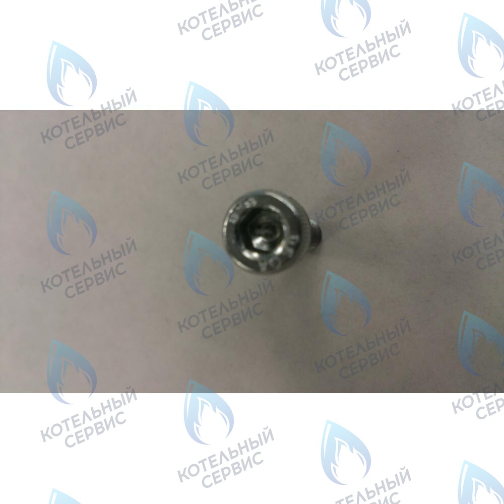 599130079 Винт M5X20 BAXI 