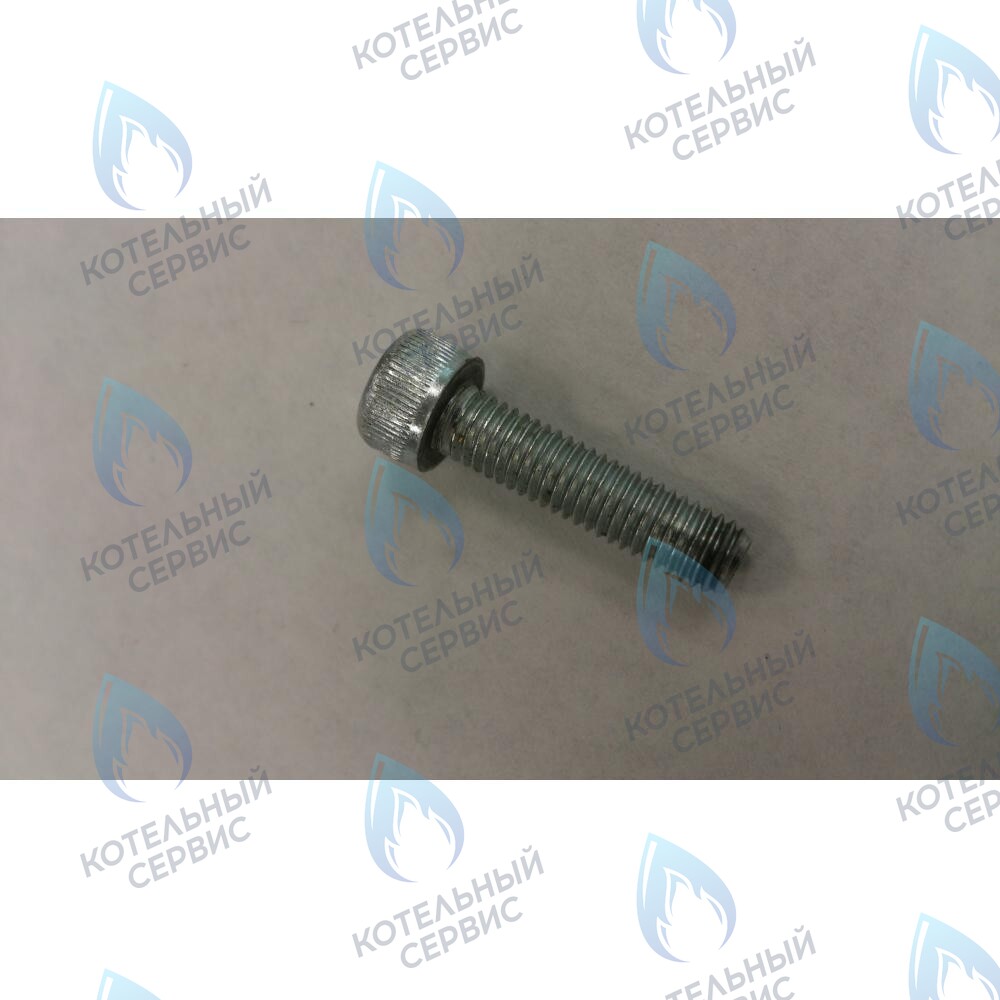 599130079 Винт M5X20 BAXI 