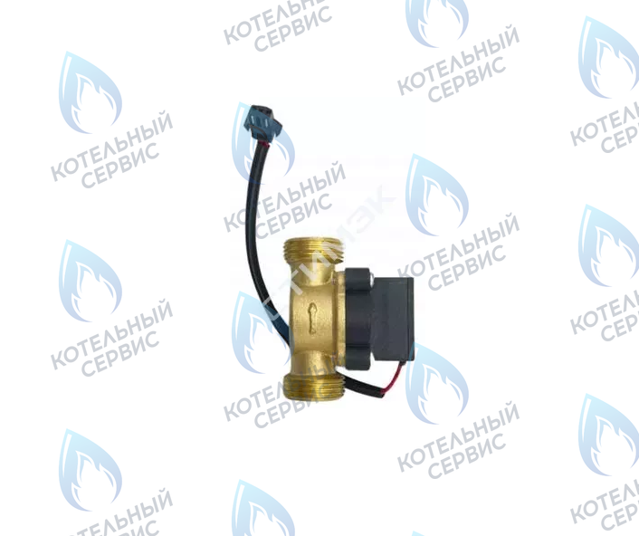 E22013.0631-004C Датчик протока электрокотел ARDERIA 