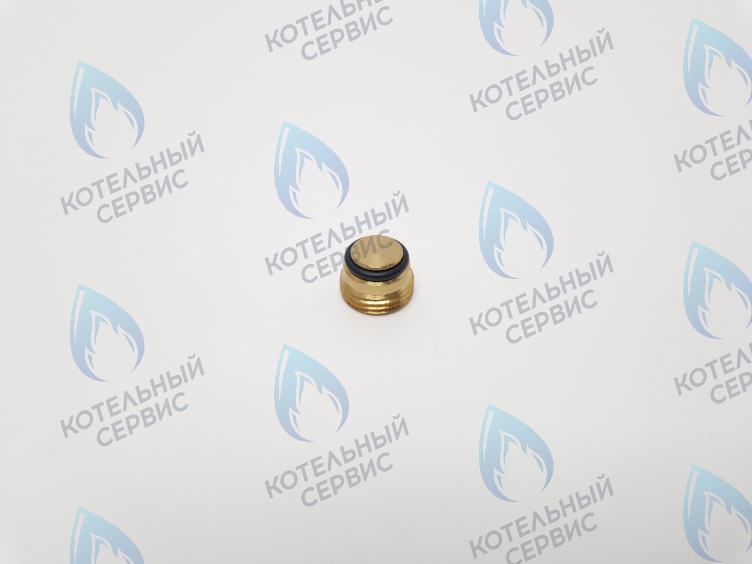 GVP020 Заглушка на клапан Sit 630 (0.972.061) 