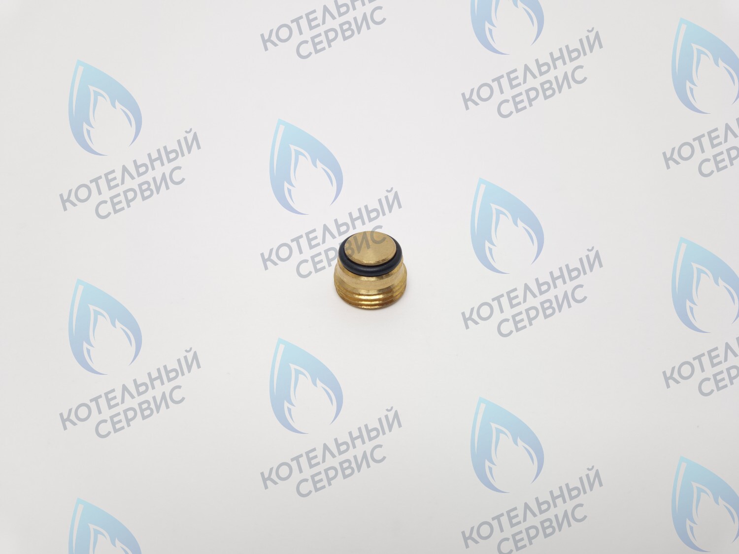 GVP020 Заглушка на клапан Sit 630 (0.972.061) 