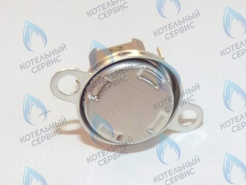 87172061620 Ограничитель нагрева STB 110°C U02X/U04X/U05X/ZSA/ZWA/ZWE BUDERUS 