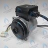 PH-W21CW60-GW105-5PIN Двигатель насоса WS15/6-2V (по часовой стрелке) PROTHERM Лев, Пантера V.18 (0020078492), Скат K13, Дельфин (0020094635), Скат V14 (0010025841) VAILLANT atmo/turboTEC 20-28 КВТ (0020213167, 0020005803), eloBLOCK (0020107584) (замена WILO VHSL15/6 HE-2, INT 