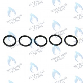 Уплотнение кольцевое BAXI