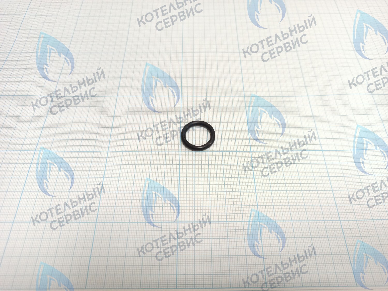 TY02020049 Прокладка O-Ring 25x18x3.55 (TY02020049) ROYAL THERMO 