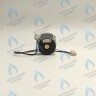 PH-W21CW50-DA84-4PIN Двигатель насоса DUCA APW 15-5.2A (2 скорости) аналог Wilo Ariston (65104319, 60000591) 