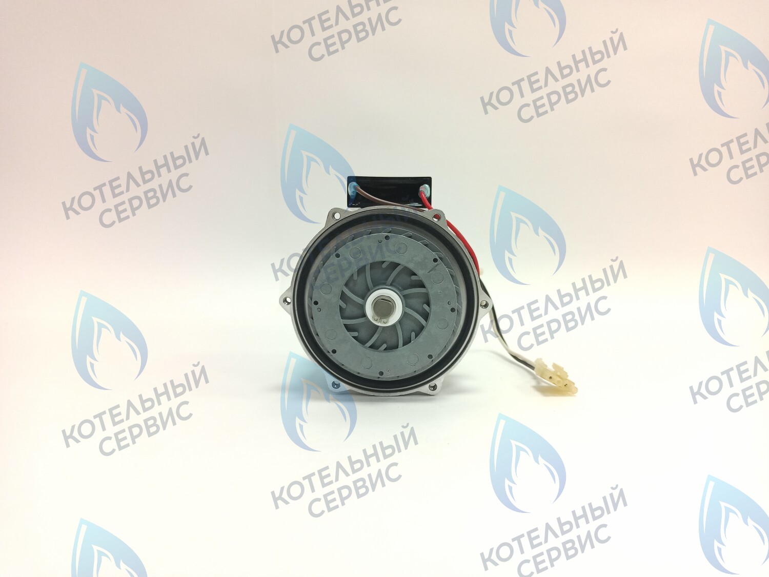 PH-S46CW73-CS77 Двигатель насоса (без улитки, с прокладкой) 77w GRUNDFOS CS-0108DSB ARDERIA 2.13-20, CELTIC-DS 3.13-3.20, MASTER GAS SEOUL 11-21, DAESUNG A16-24 