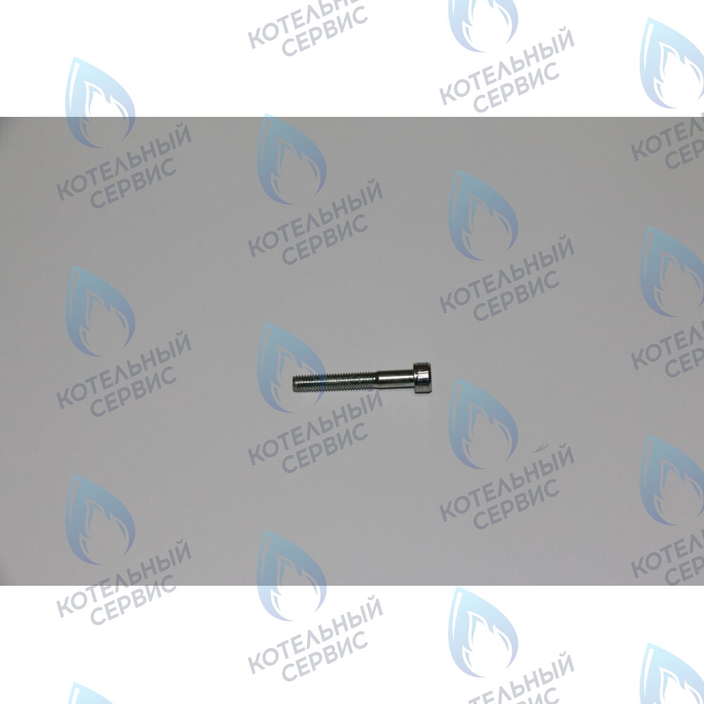 710046900 винт фиксирующий теплообменника ГВС BAXI 