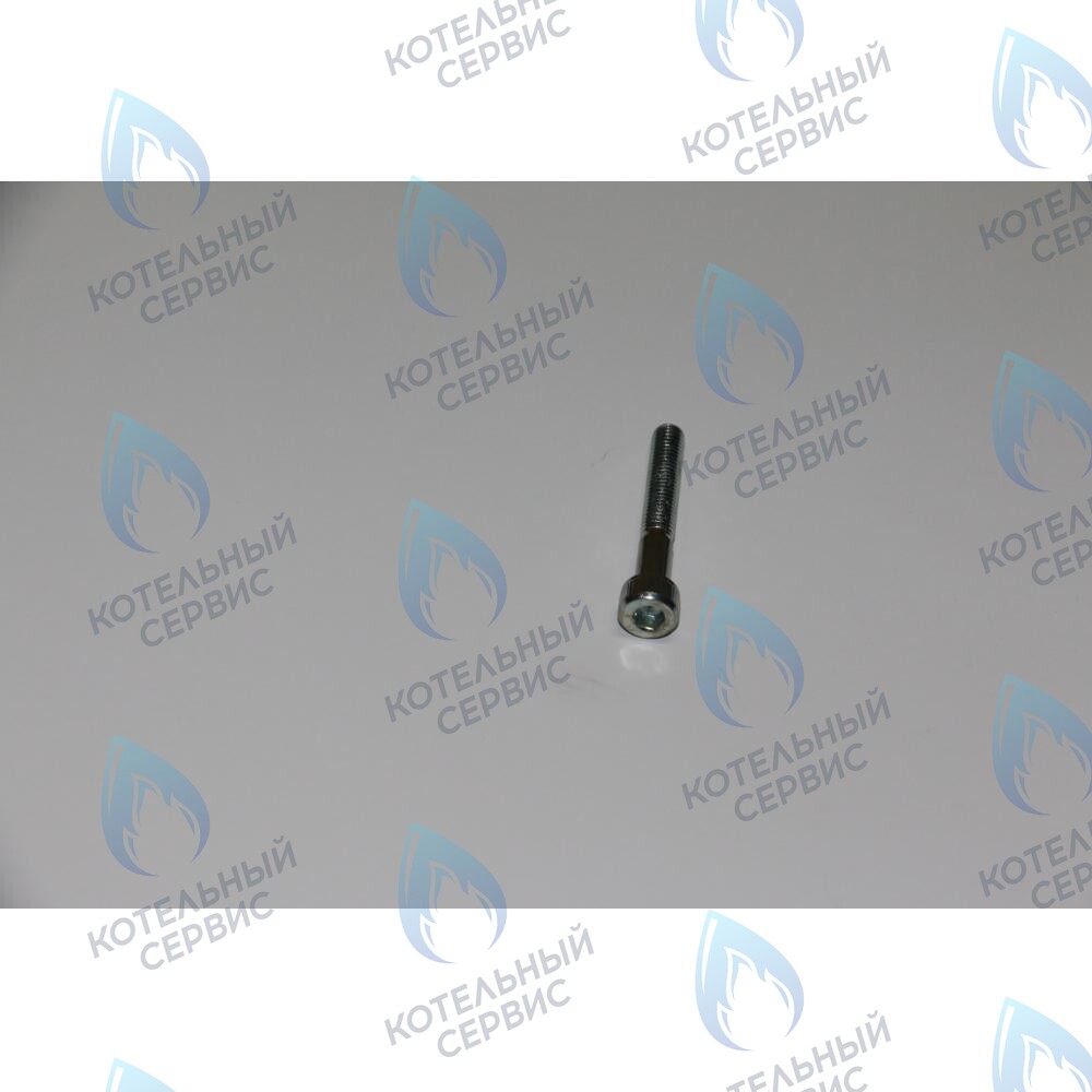 710046900 винт фиксирующий теплообменника ГВС BAXI 